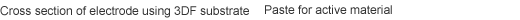 Cross Section of electrode using 3DF substrate