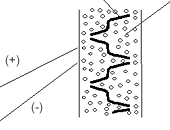 Paste for active material