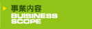 Ɠe BUSINESS SCOPE